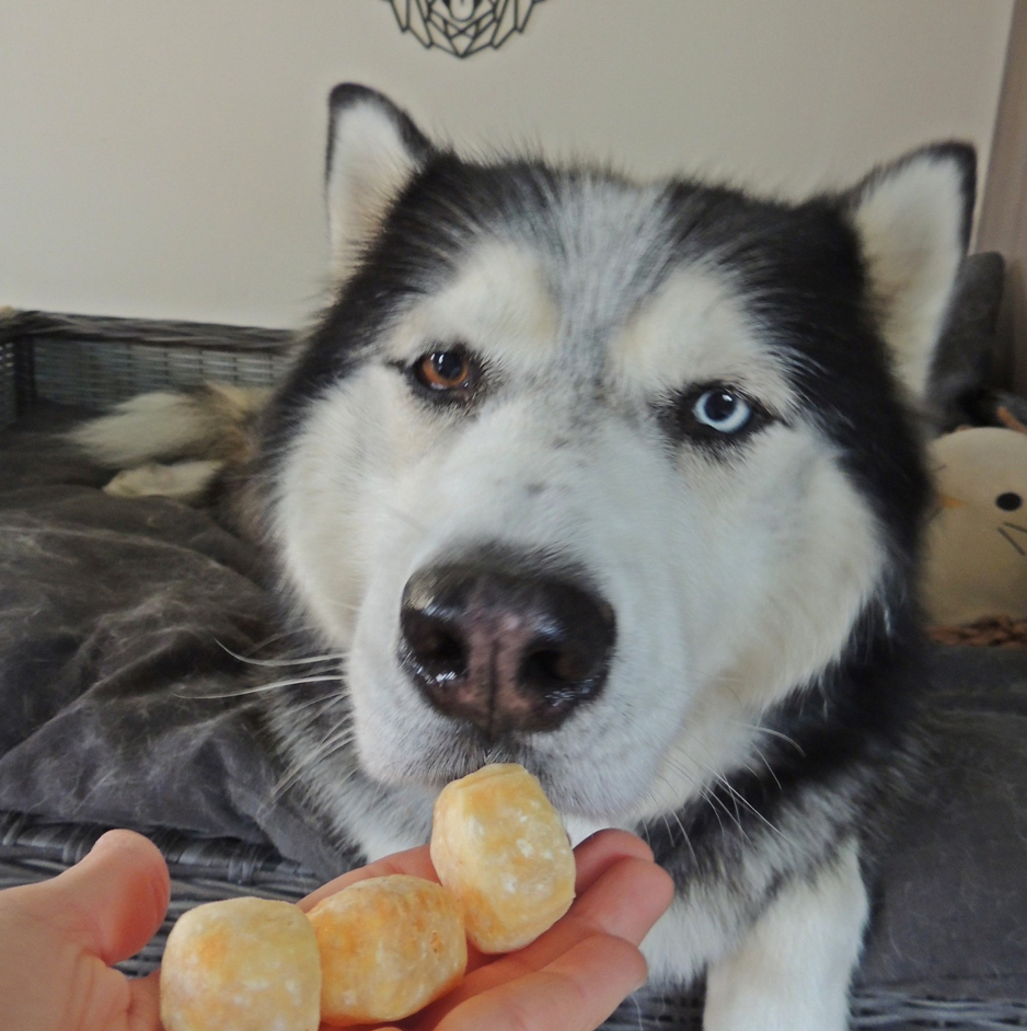 7 beutel mit 40 gram Cheezz popcorn fur jede Hund die schönste Belohnung.