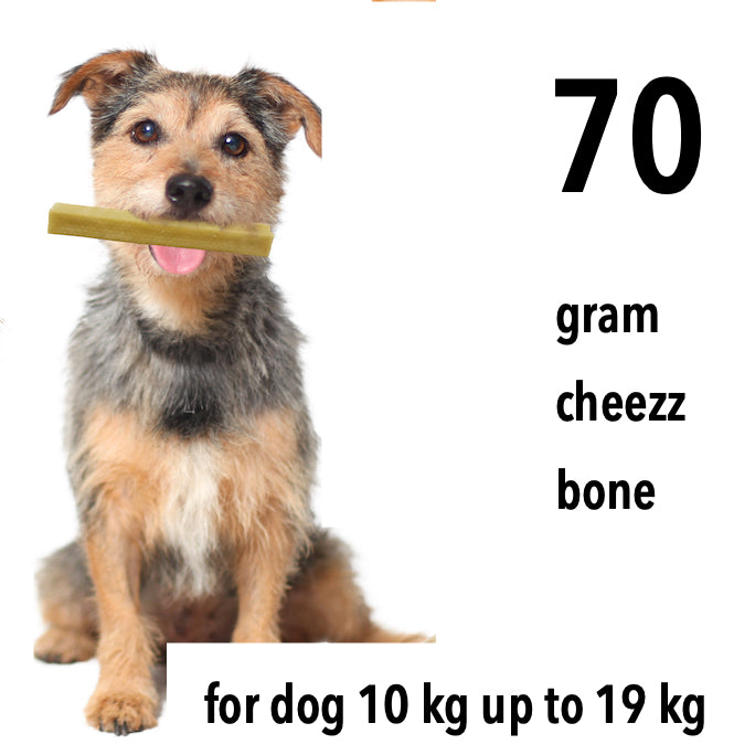 Himalayan Dog Chew CHEEZZ +/- 70 gram for medium dogs   (5 pieces)